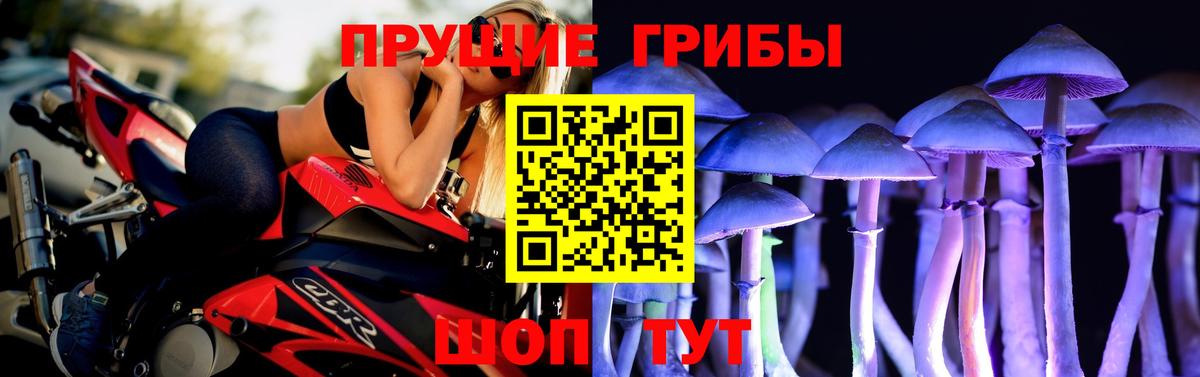 Псилоцибиновые грибы ЛСД Троицк